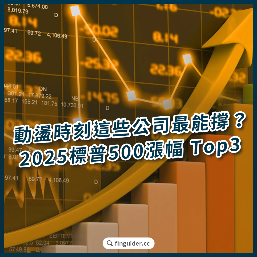 美股話題】2025 市場震盪時刻，S&P 500 哪些公司最能撐？背後有什麼邏輯？ | FinGuider 美股資訊網
